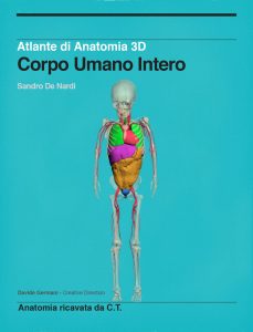 Anatomia 3D del Corpo Umano Intero