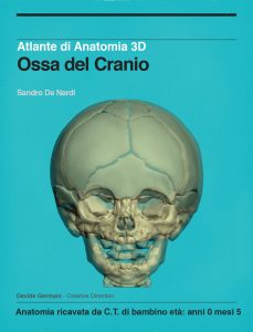 Anatomia 3D delle Ossa del Cranio