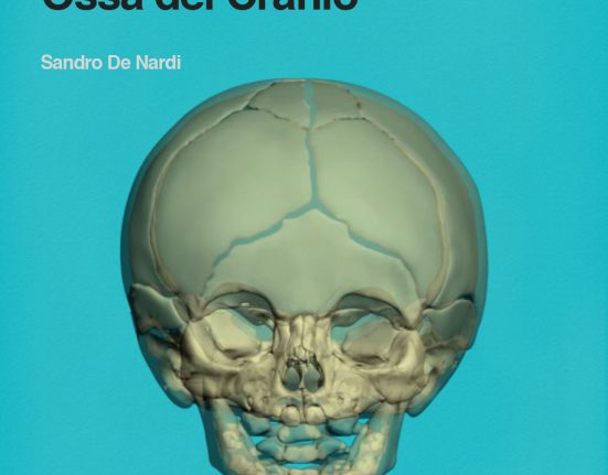 Anatomia 3D delle Ossa del Cranio