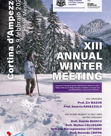 NYU - XIII ANNUAL WINTER MEETING