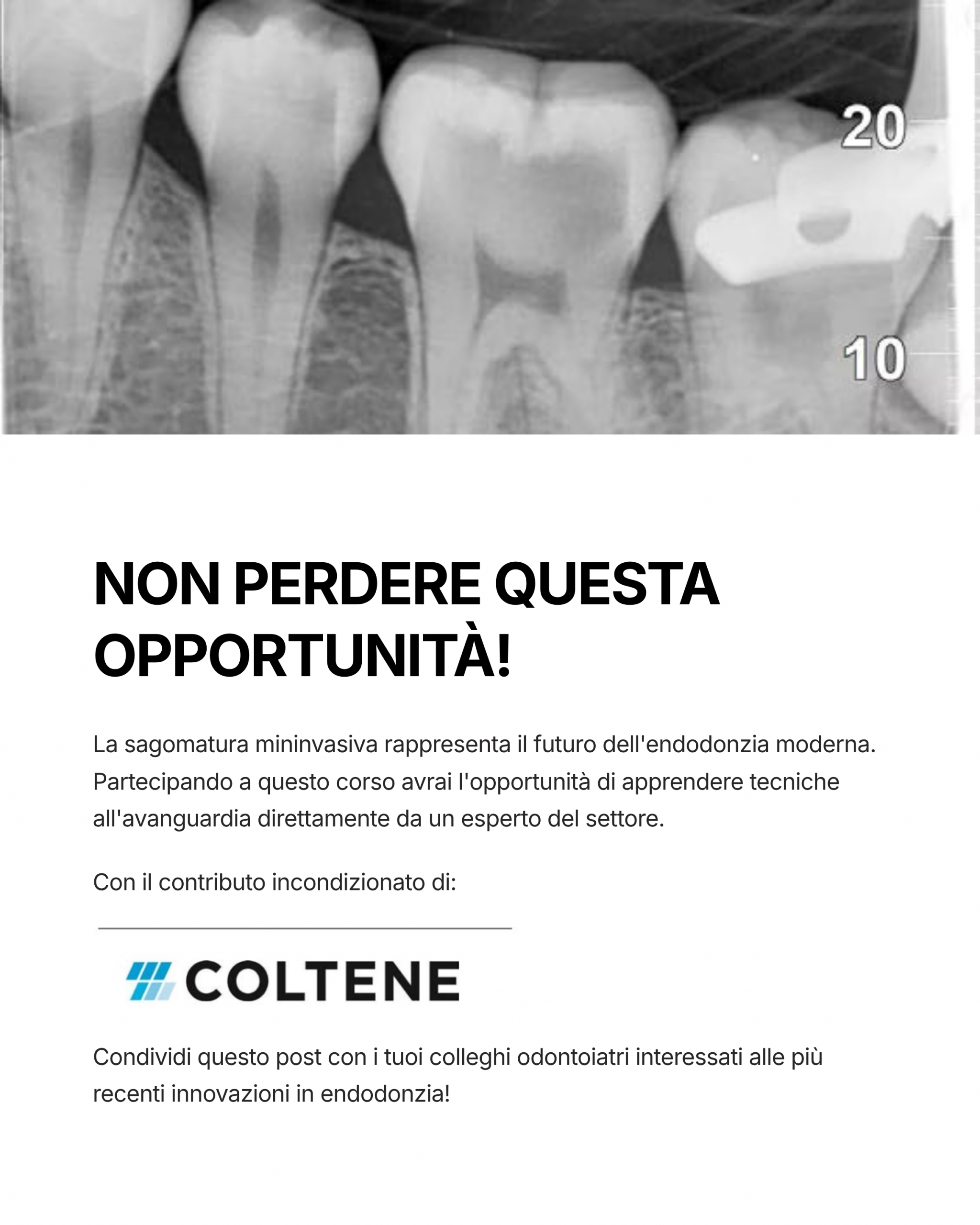 Slide 8