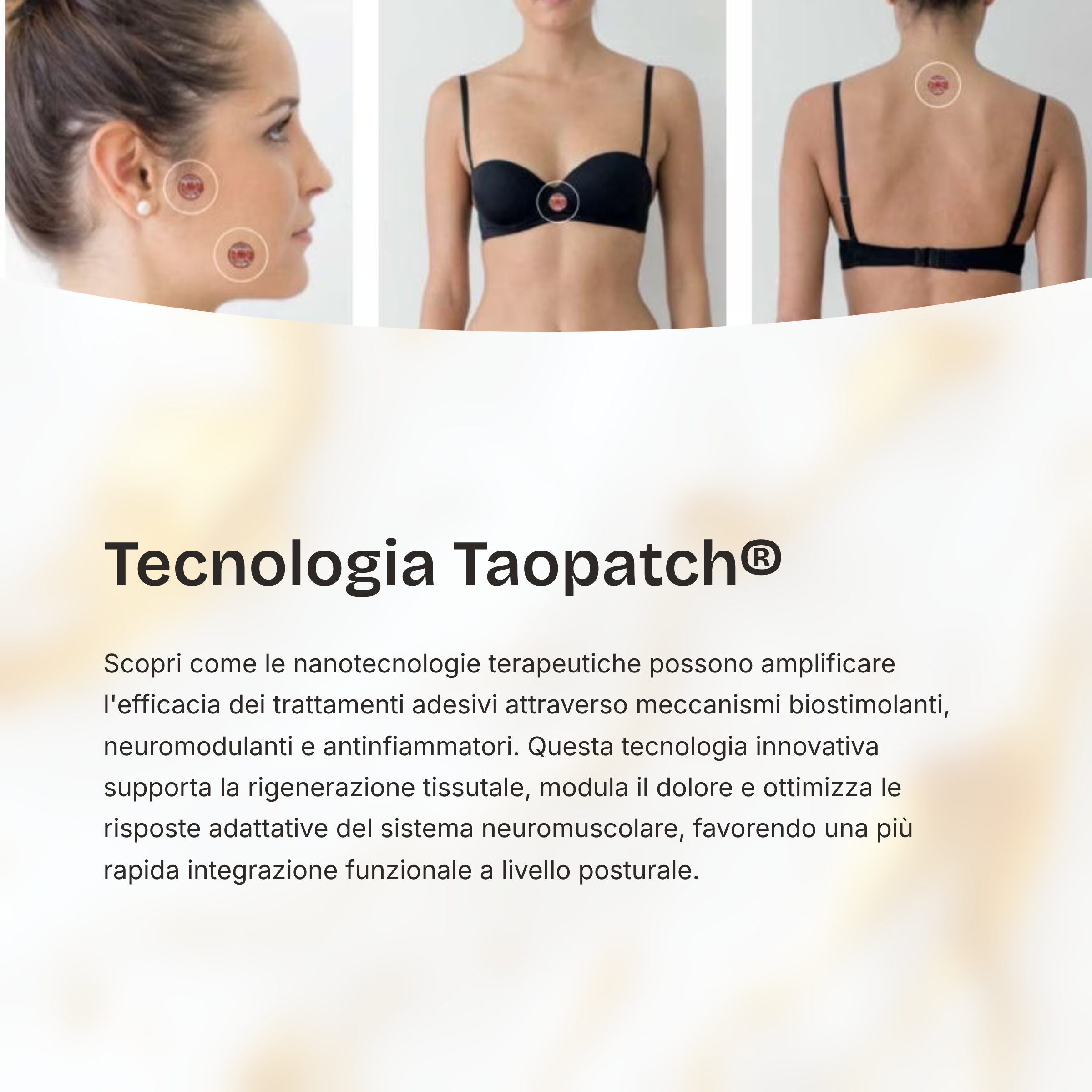 2026-Novembre13-14-Simoni-Angeloni-CastelSanGiovanni