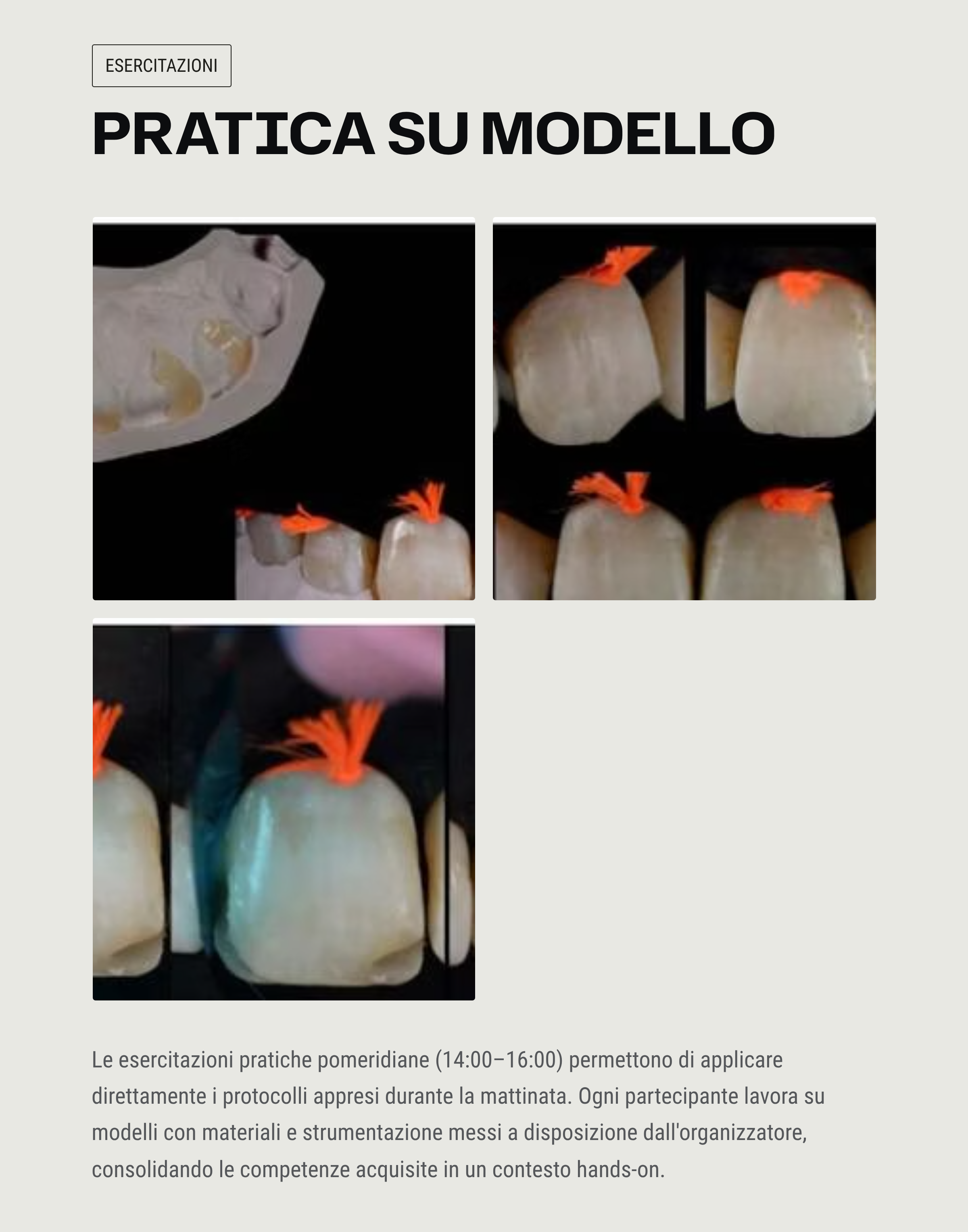 7_Pratica-su-Modello