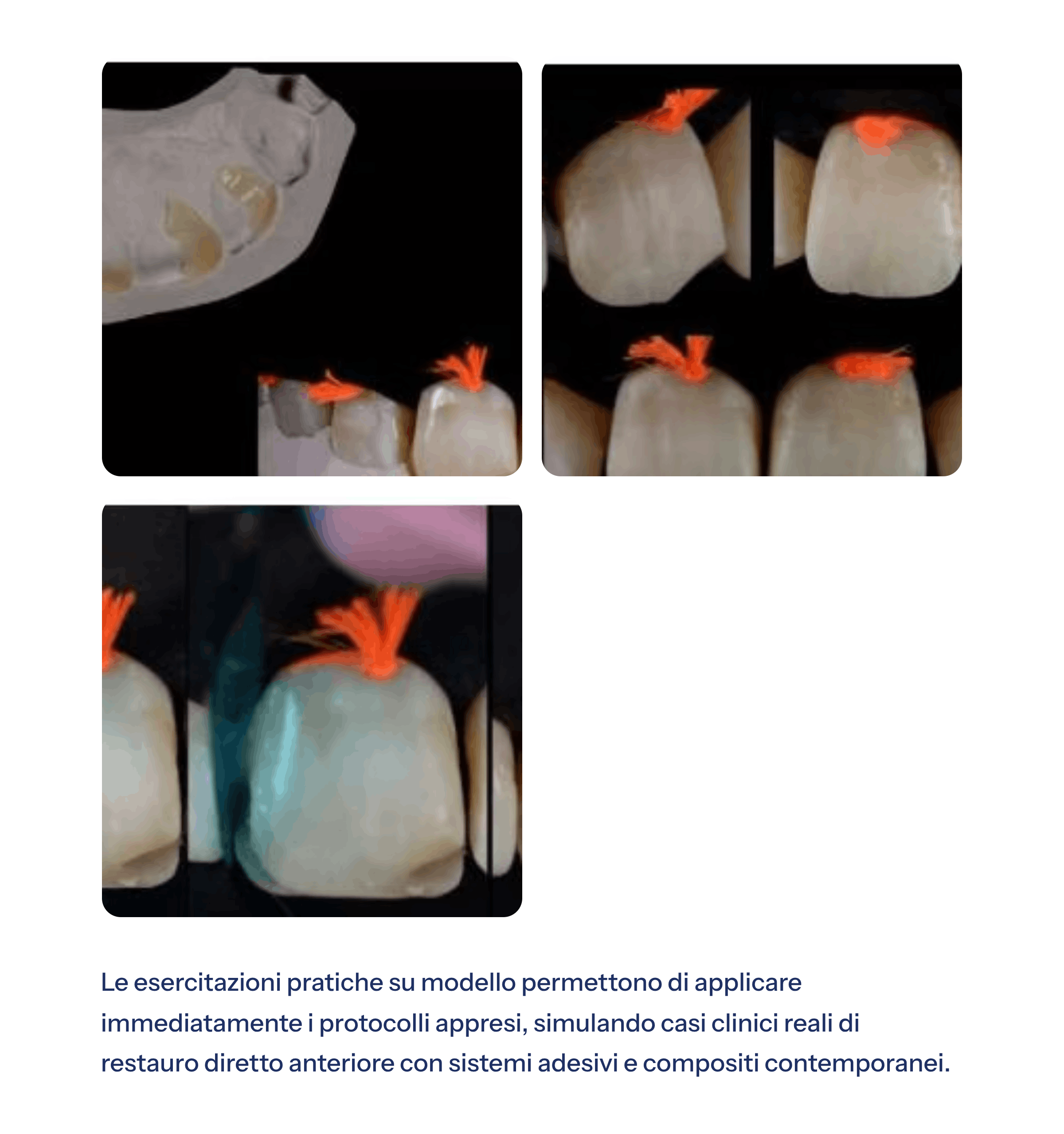 8_Le-esercitazioni-pratiche-su-modello-permettono-di-applicare-immediatamente-i-protocolli-appresi-sim